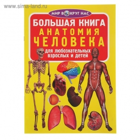 Большая книга. Анатомия человека